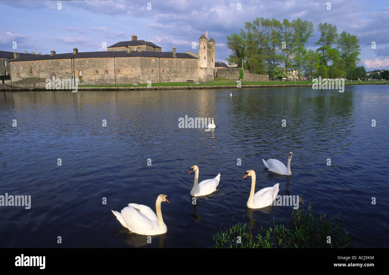 Schwäne auf dem Erne vor Enniskillen Castle. Enniskillen, County Fermanagh, Nordirland, Großbritannien. Stockfoto