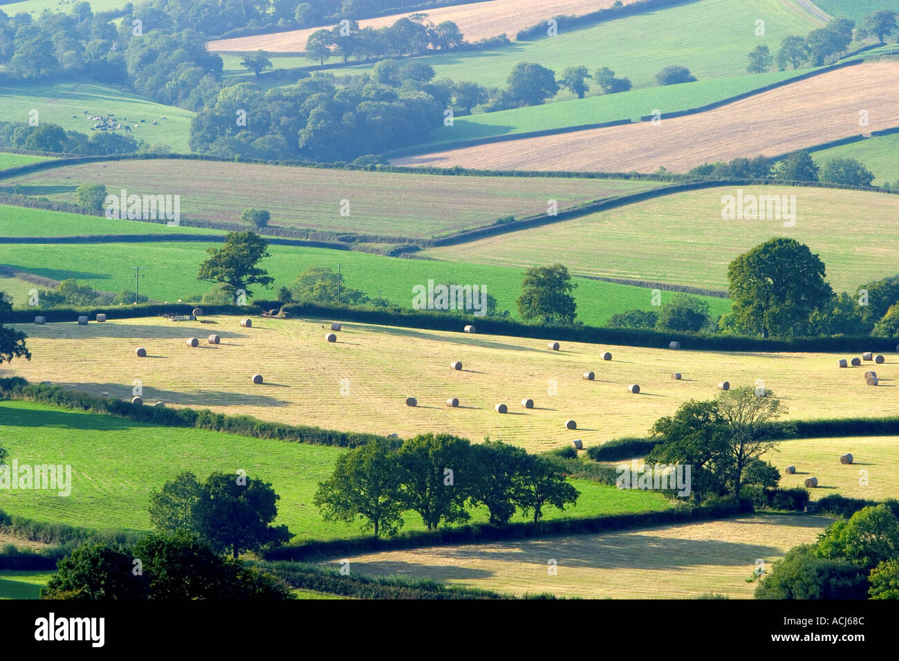 Felder und Kulturlandschaft zur Erntezeit in Devon England Stockfoto