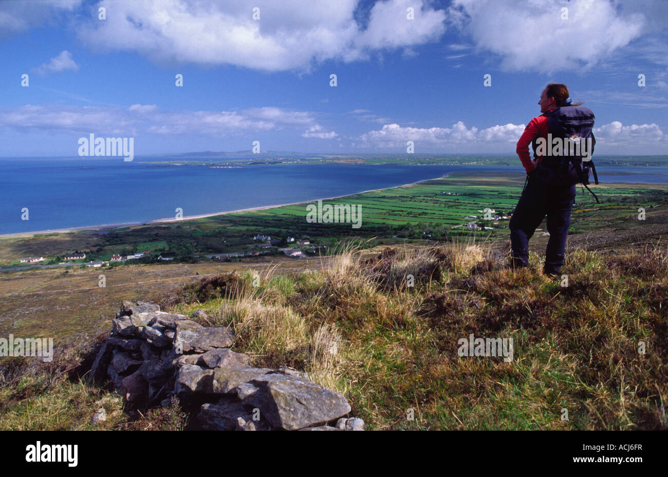 Walker über Tralee Bay von den Hängen des Gearhane. Slieve Mish Mountains, County Kerry, Irland. Stockfoto