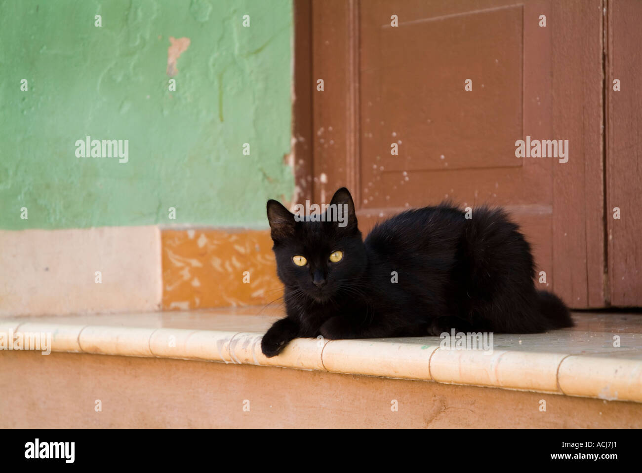 Schwarze Katze liegend auf einer Haustür in Trinidad, Kuba. Stockfoto
