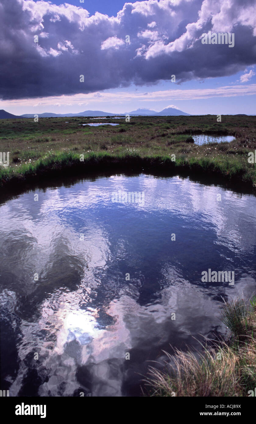 Himmel spiegeln sich in einer bog Pool unter der Nephin Beg Berge, County Mayo, Irland. Stockfoto