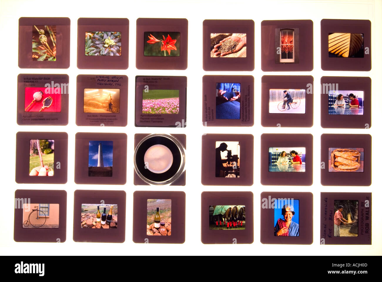 35mm Dias auf lightbox Stockfoto