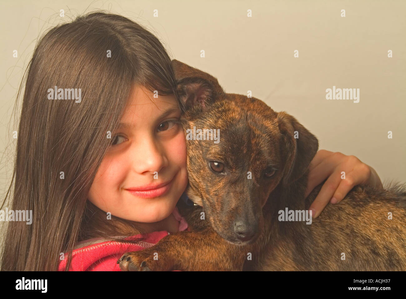 Junges Mädchen mit ihrem Staffordshire mischrassiger Hund Stockfoto