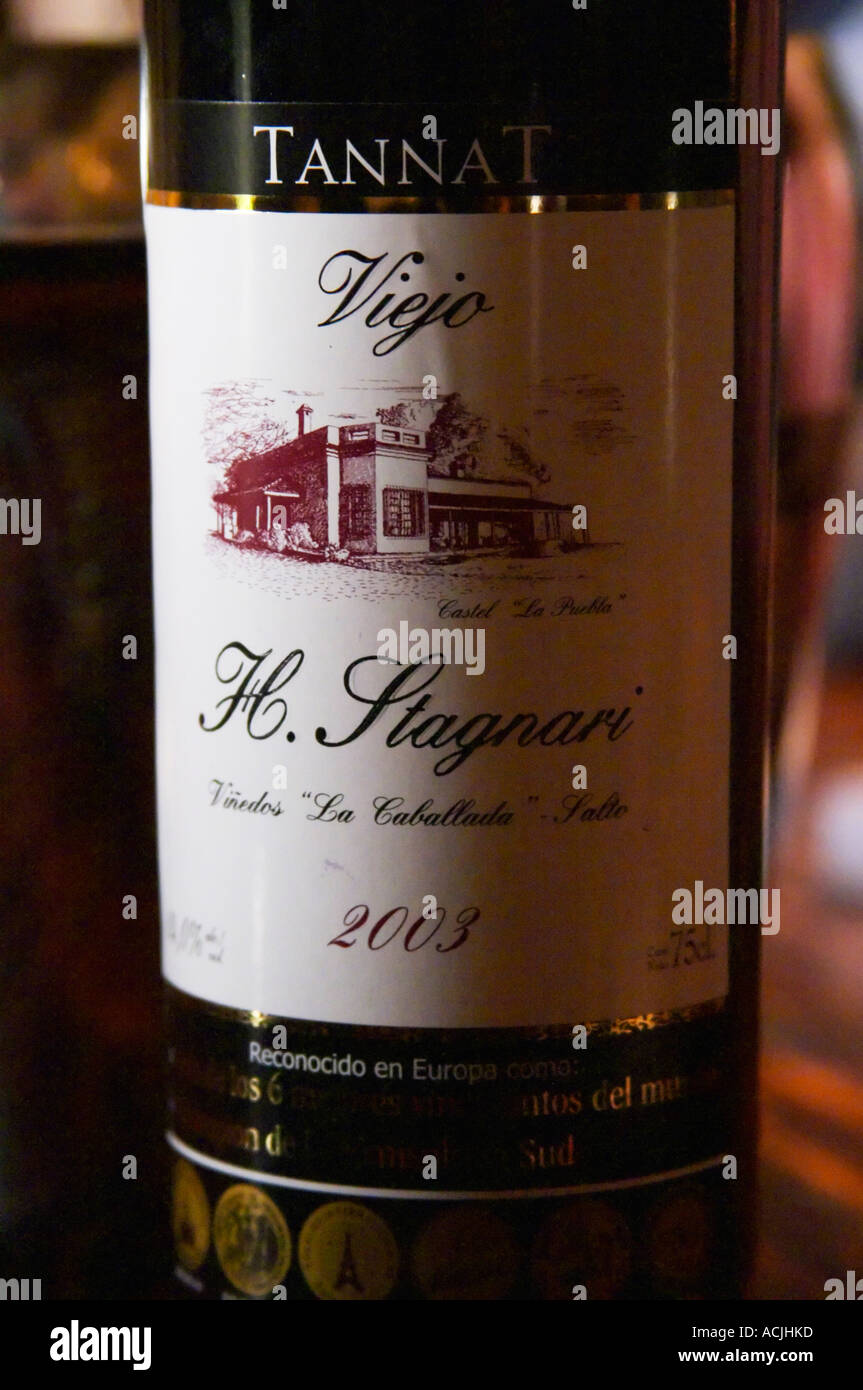 Tannat Viejo H Stagnari Vinedos La Caballado 2003 Bodega Vinos Finos H Stagnari Weingut, La Puebla, La Paz, Canelones, Montevideo, Uruguay, Südamerika Stockfoto