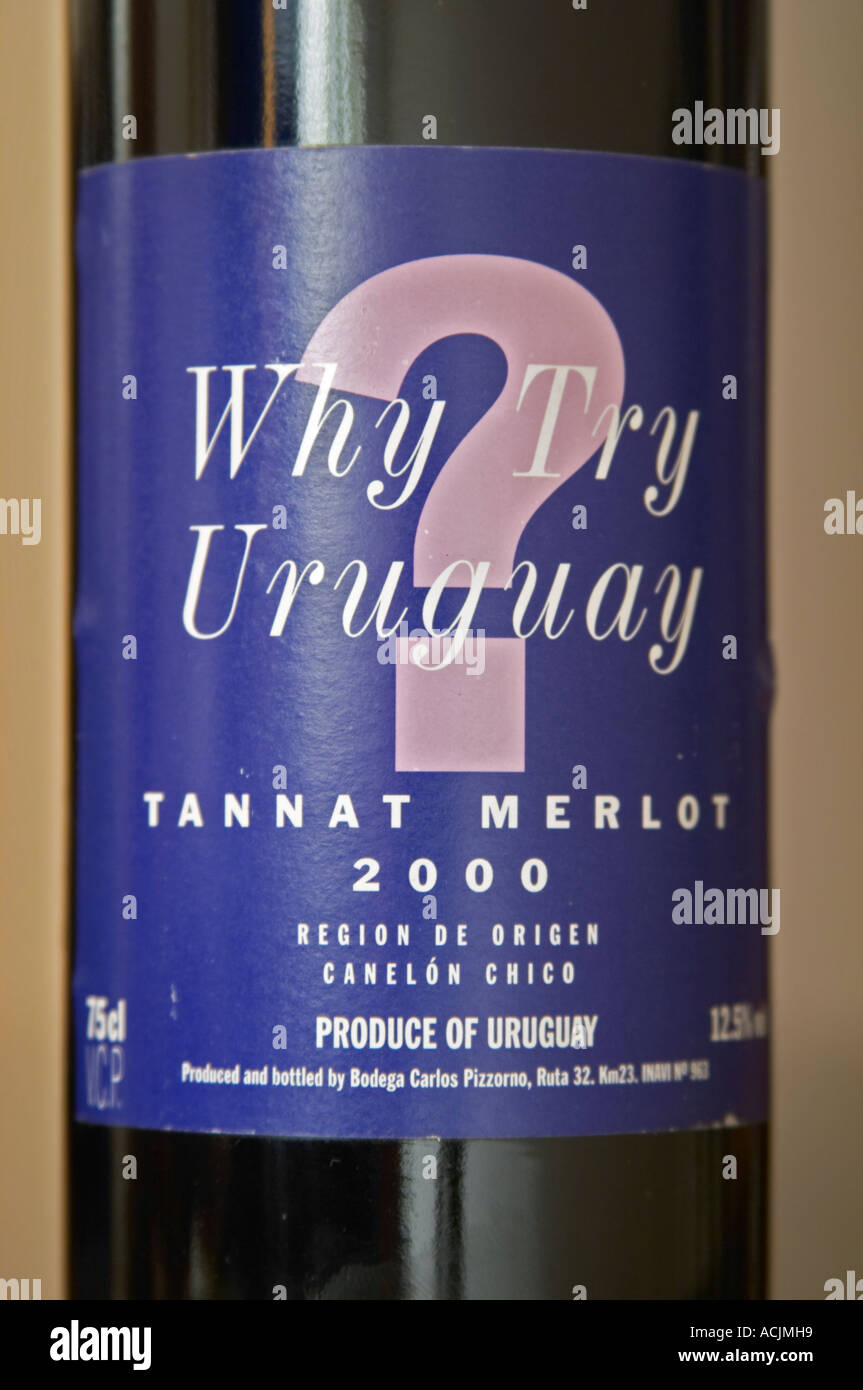 Flasche warum Uruguay versuchen? Tannat Merlot 2000, scherzhafte lustige humorvolle Label auf Antrag des britischen Importeur gemacht. Bodega Carlos Pizzorno Winery, Canelon Chico, Canelones, Uruguay, Südamerika Stockfoto