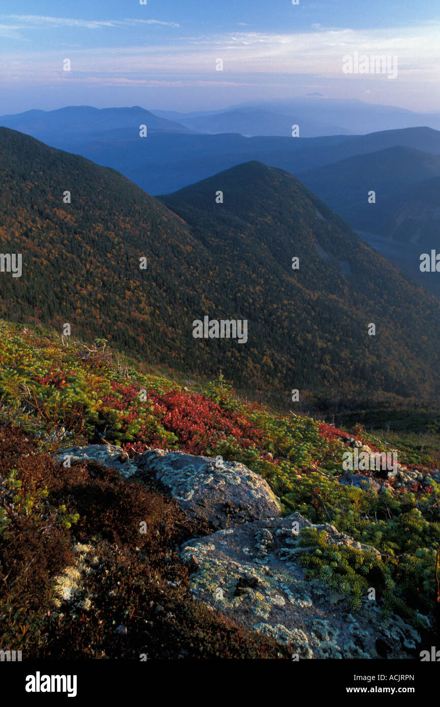 Sonnenaufgang am Signal Ridge Trail, White Mountain National Forest, New Hampshire Stockfoto