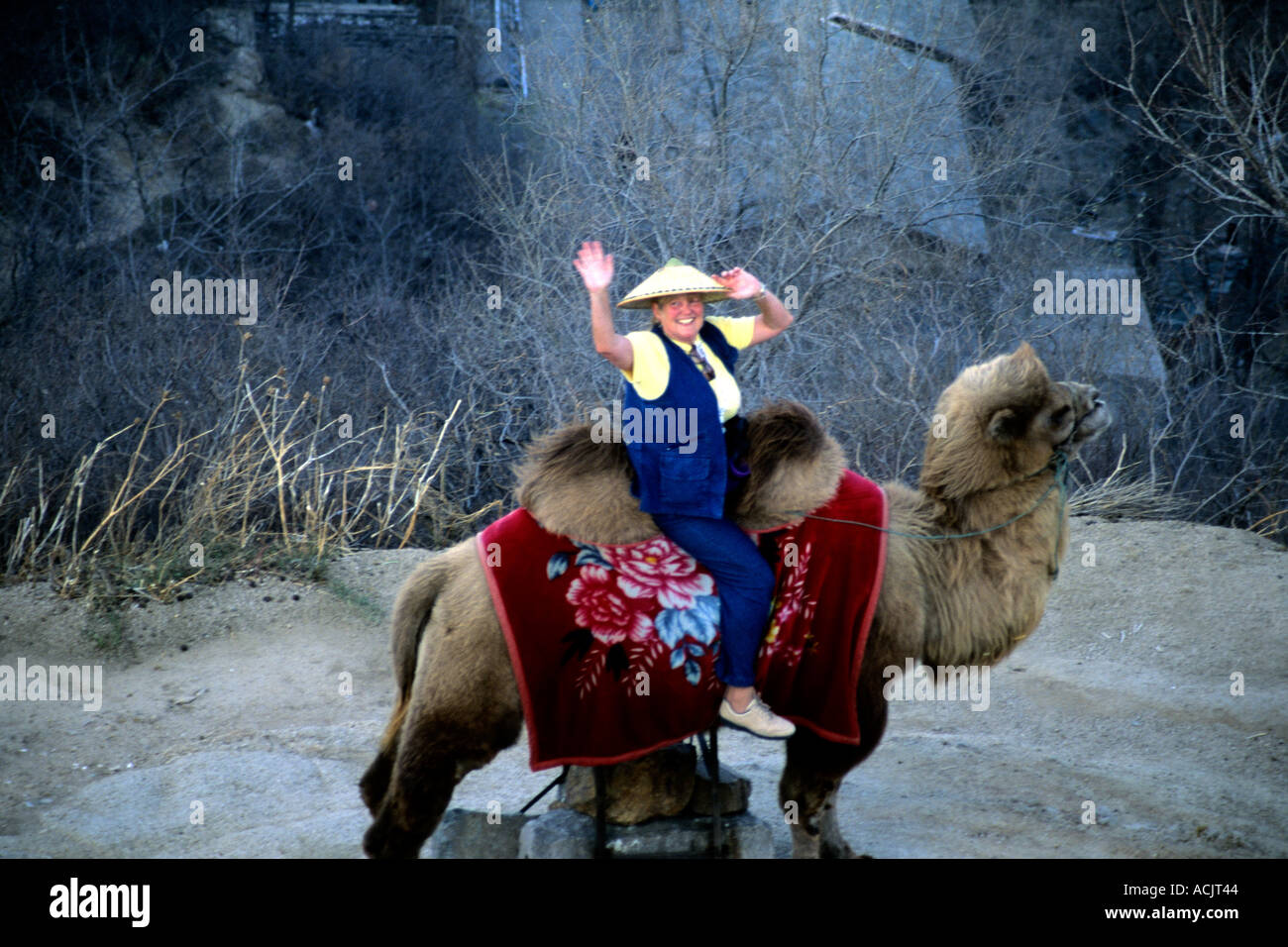 Urlaub Frau auf Kamel in Peking China Stockfoto