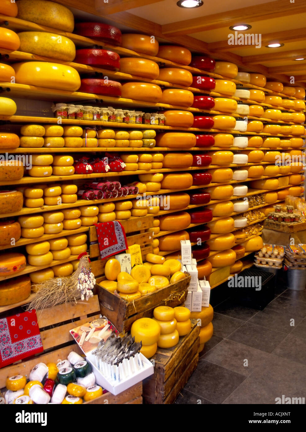 Holland Gouda-Käse runden auf Regale im shop Stockfoto