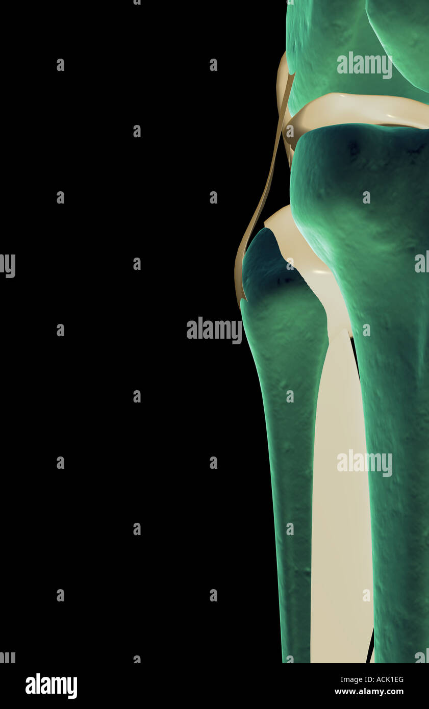 Die Bänder des Knies Stockfoto Die Bänder des Knies Stockfoto