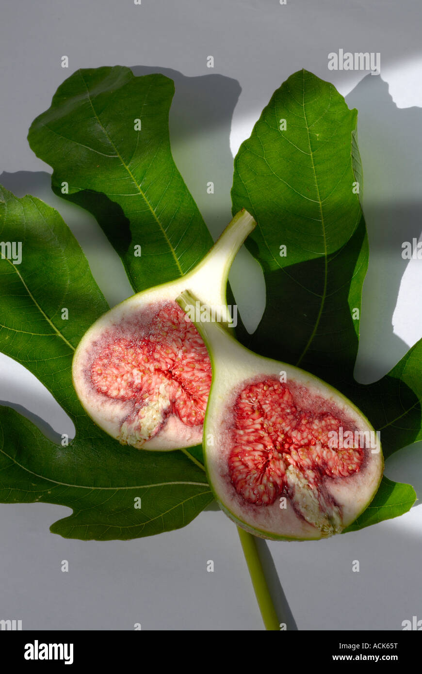 Latein, Ficus Carica. Gemeinsame, halbieren Sie gemeinsame Feigenbaum, braun Türkei Abb. A Frucht-Fig - vor dem Hintergrund eines Blattes Stockfoto