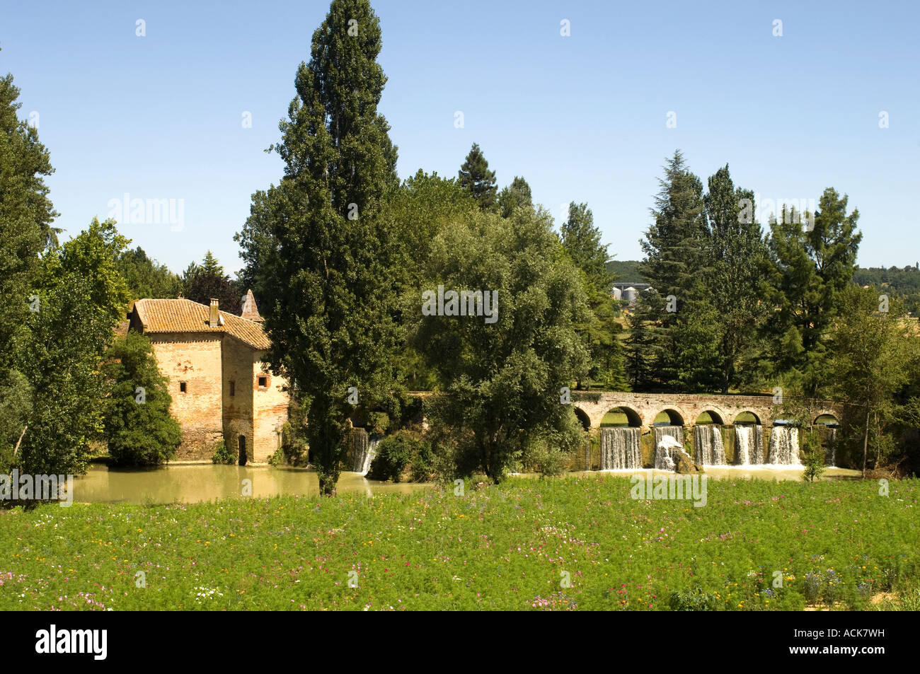 Frankreich. Im Südwesten. Tarn et Garonne. Alte Mühle genannt Moulin Lateule im Sommer. Wildblumen Vordergrund. Stockfoto