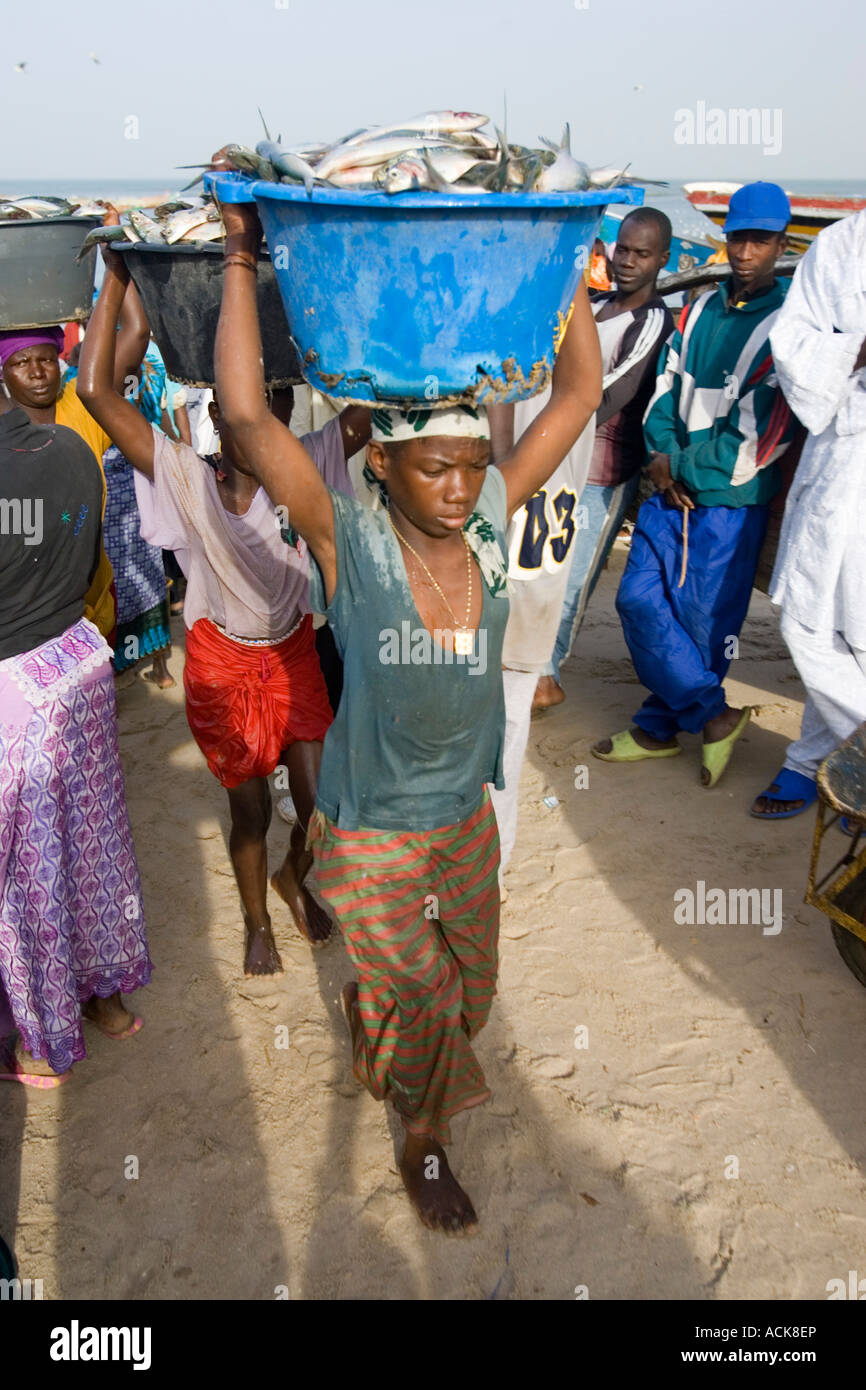 Junge Frauen tragen Becken von frischem Fisch auf Kopf Strand auf den Markt als offene Angelboote/Fischerboote kommen mit Fang Tanji Gambia Stockfoto