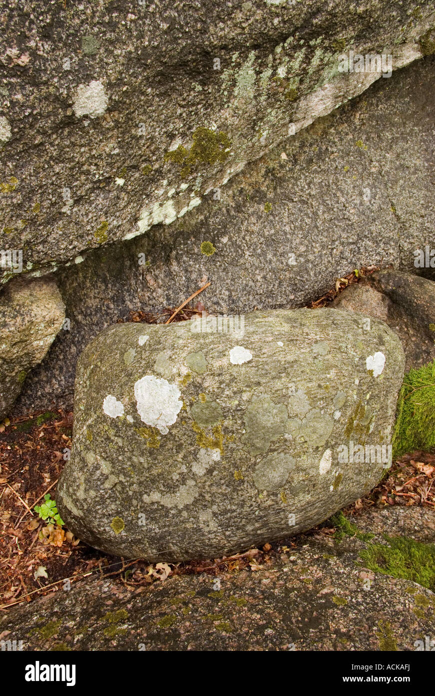 Horizontale Foto von Granitfelsen im Unterholz in der Nähe von Karlshamn, Schweden Stockfoto