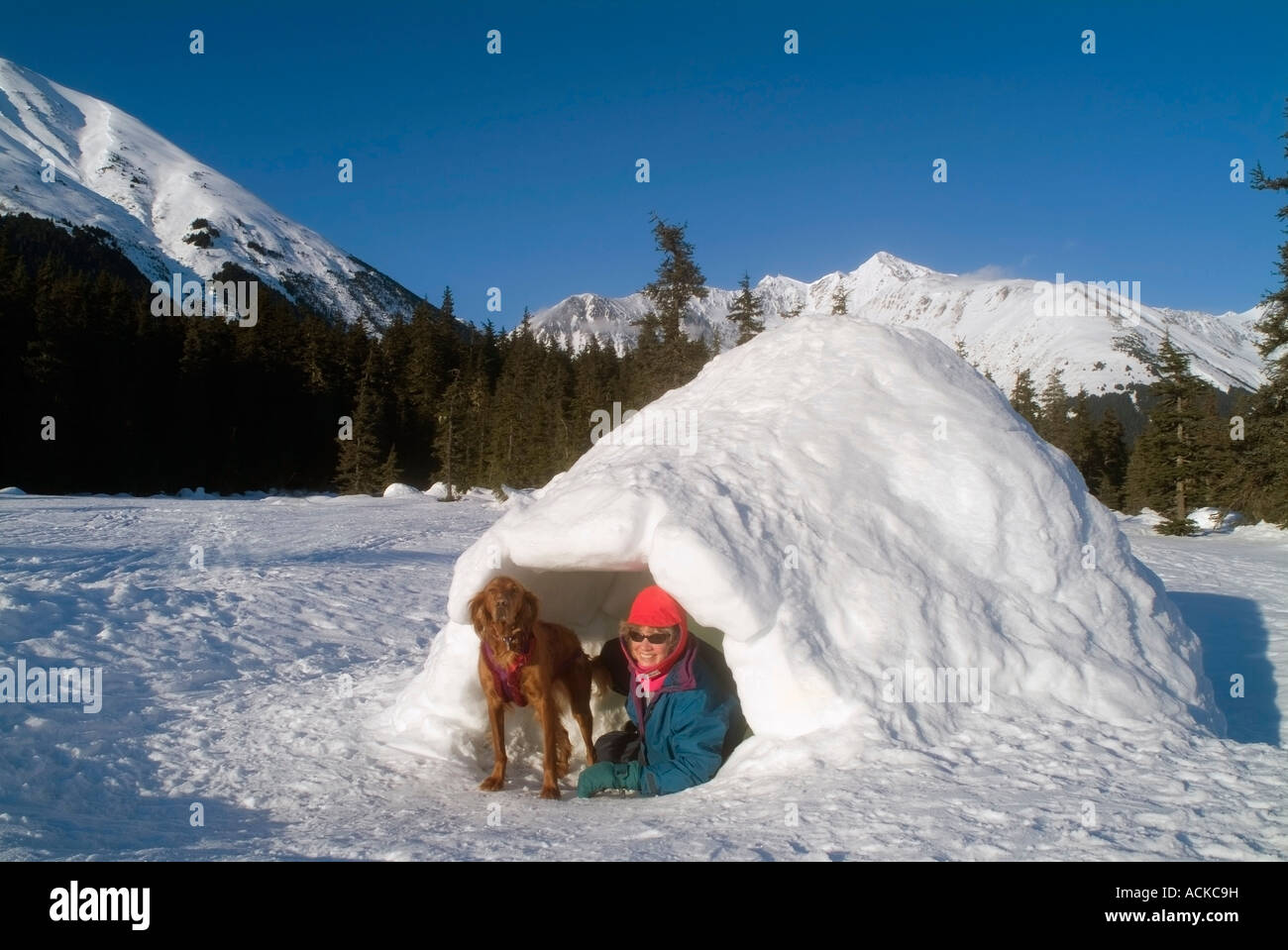 Winterwanderer mit Hund in handgefertigte Iglu in Gletscher-Tal Girdwood, Alaska Stockfoto