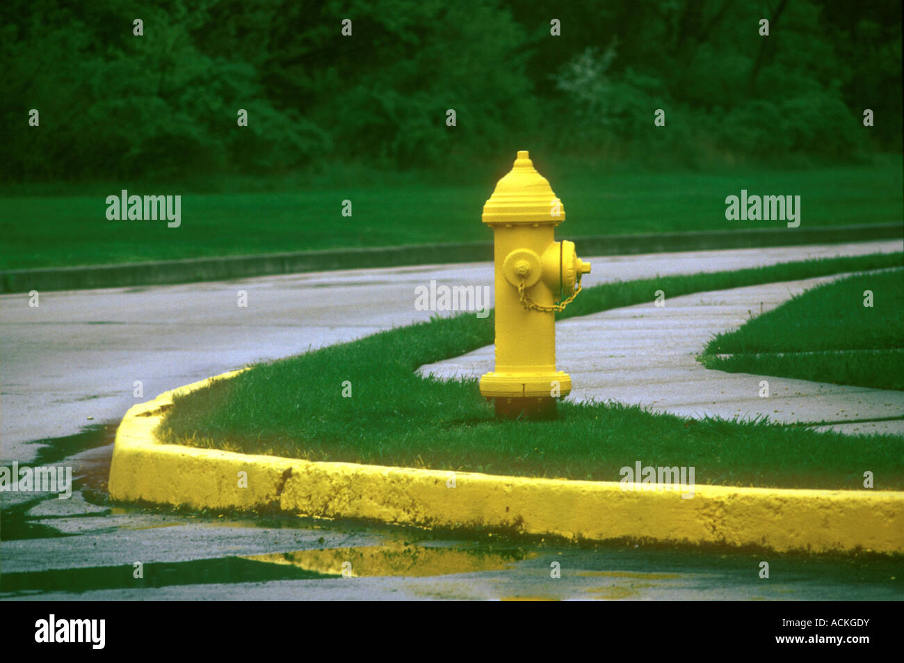 Yellow Fire Hydrant Plug mit gelben Bordstein und Gehweg, Philadelphia PA USA Stockfoto