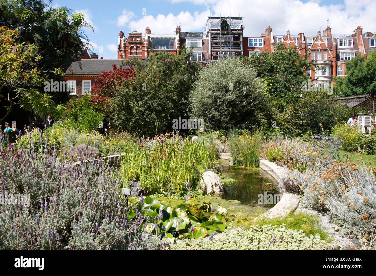 Chelsea Physic garden London England uk Stockfoto