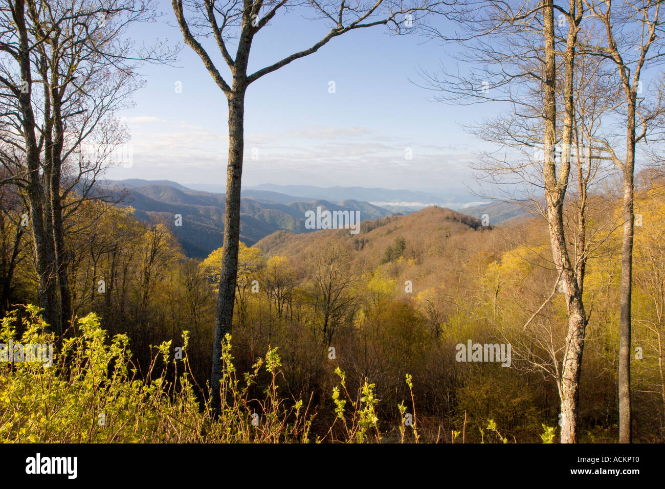 Eine malerische Aussicht auf ein Tal mit frühmorgendlichem Nebel entlang des US Highway 441 durch den Great Smoky Mountains National Park in Tennessee und North Carolina, USA Stockfoto