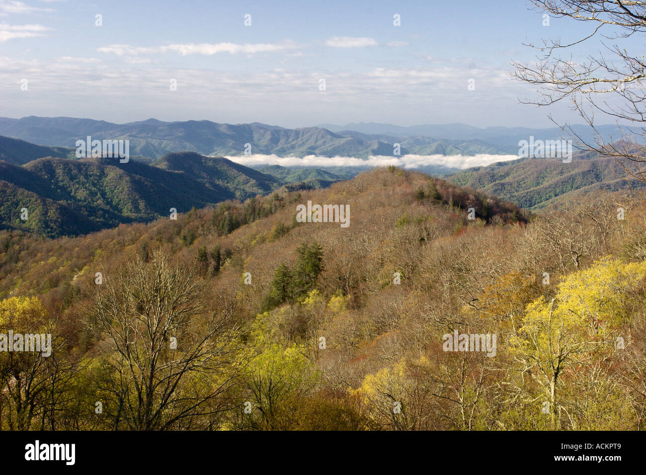 Eine malerische Aussicht auf ein Tal mit frühmorgendlichem Nebel entlang des US Highway 441 durch den Great Smoky Mountains National Park in Tennessee und North Carolina, USA Stockfoto