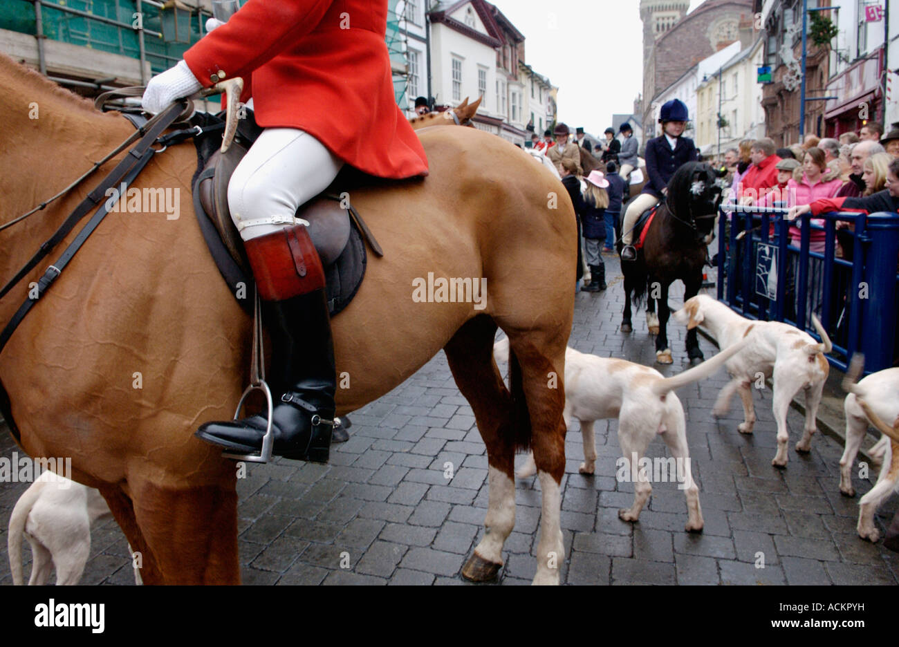 Monmouthshire Hunt sammeln außerhalb The Angel Hotel Abergavenny South Wales UK GB für Boxing Day treffen Stockfoto