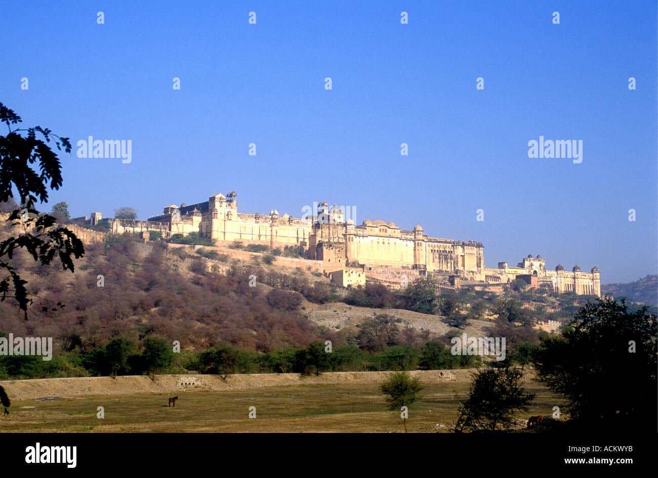 Das Amber Fort in Jaipur Rajasthan Indien gebaut von Raja Mann Singh 1586 bis 1614 Stockfoto