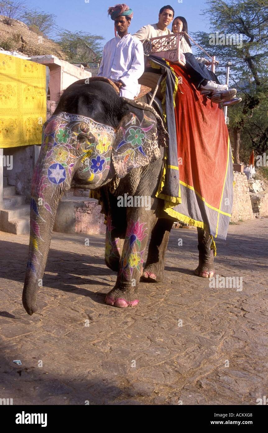 Elefant mit Touristen oben die Rampe zum Amber Fort in Jaipur Rajasthan Indien Stockfoto