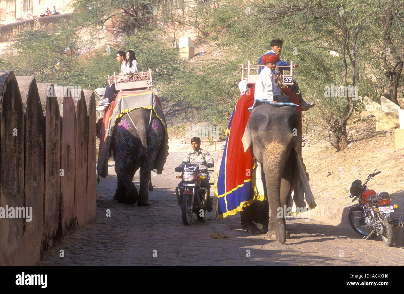 Motor Cylist Reiten zwischen zwei Elefanten benutzt, um Touristen auf die Rampe zum Amber Fort in Jaipur Rajasthan Indien tragen Stockfoto