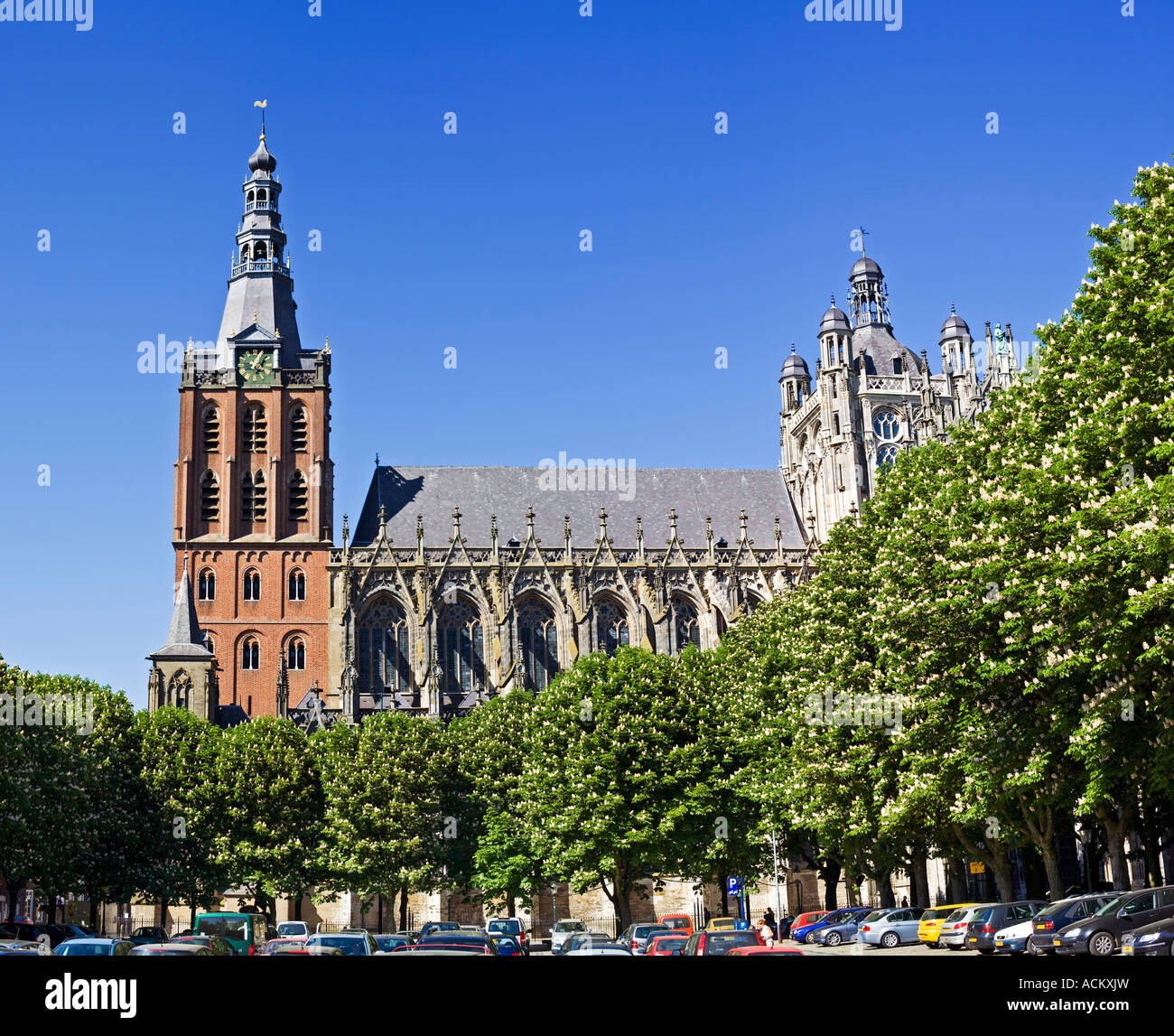 St. Jans Cathedral Hertogenbosch, Holland, Niederlande, Europa Stockfoto