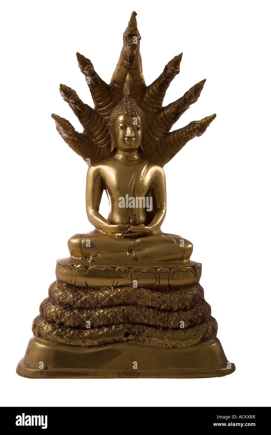 Buddha Bilder auf weißen Hintergrund Stockfoto