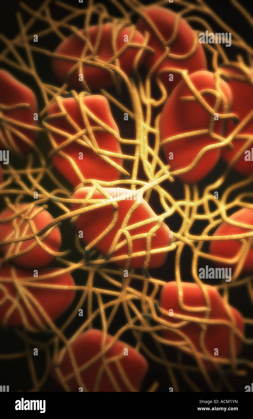 Blutgerinnsel Stockfoto