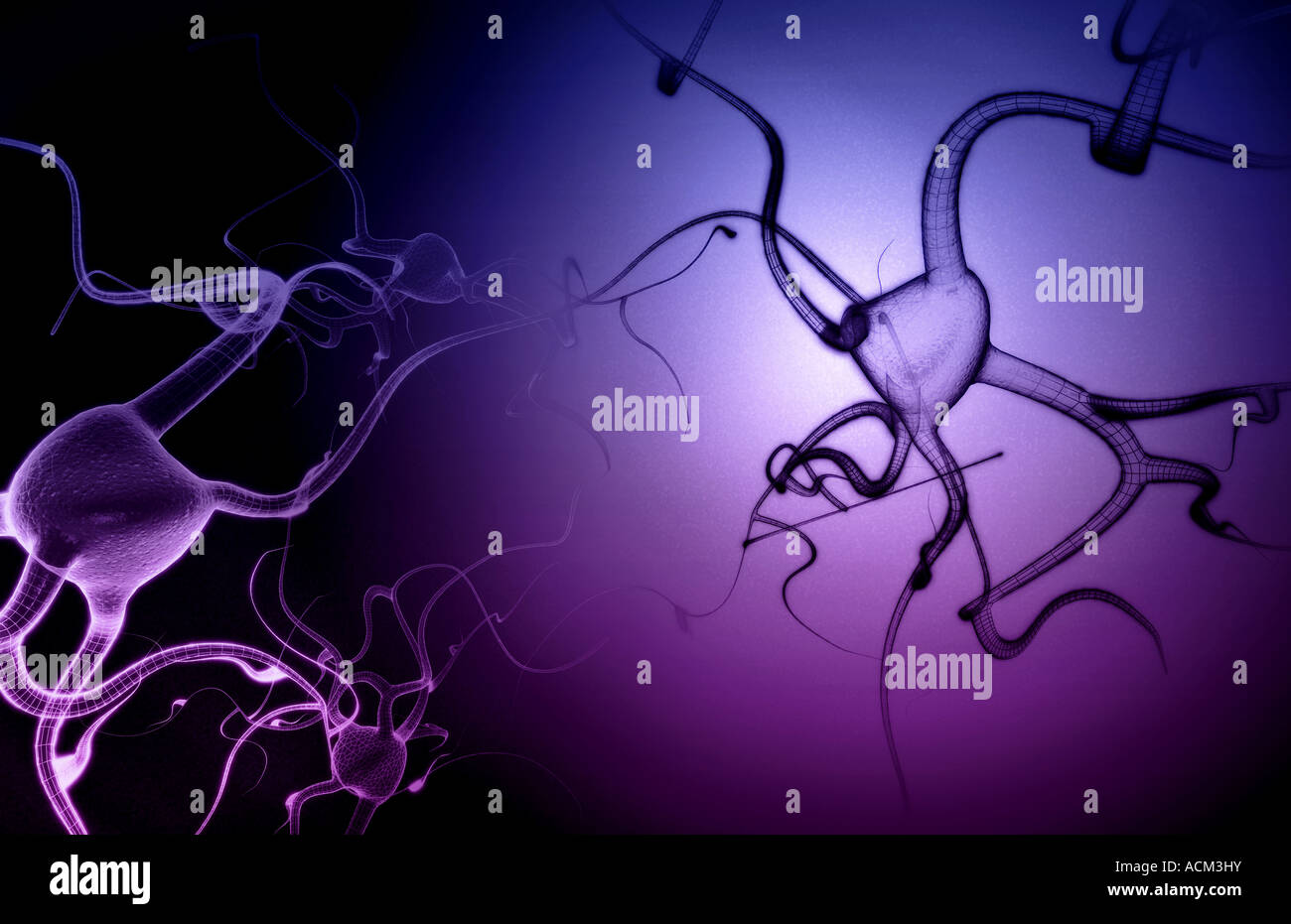 Neuronen Stockfoto