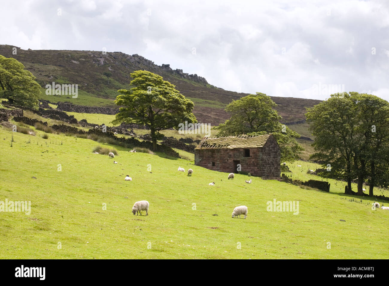 Kakerlaken, Henne Cloud und Ramshaw Rocks_ Staffordshire Gritstone Klippen Stockfoto