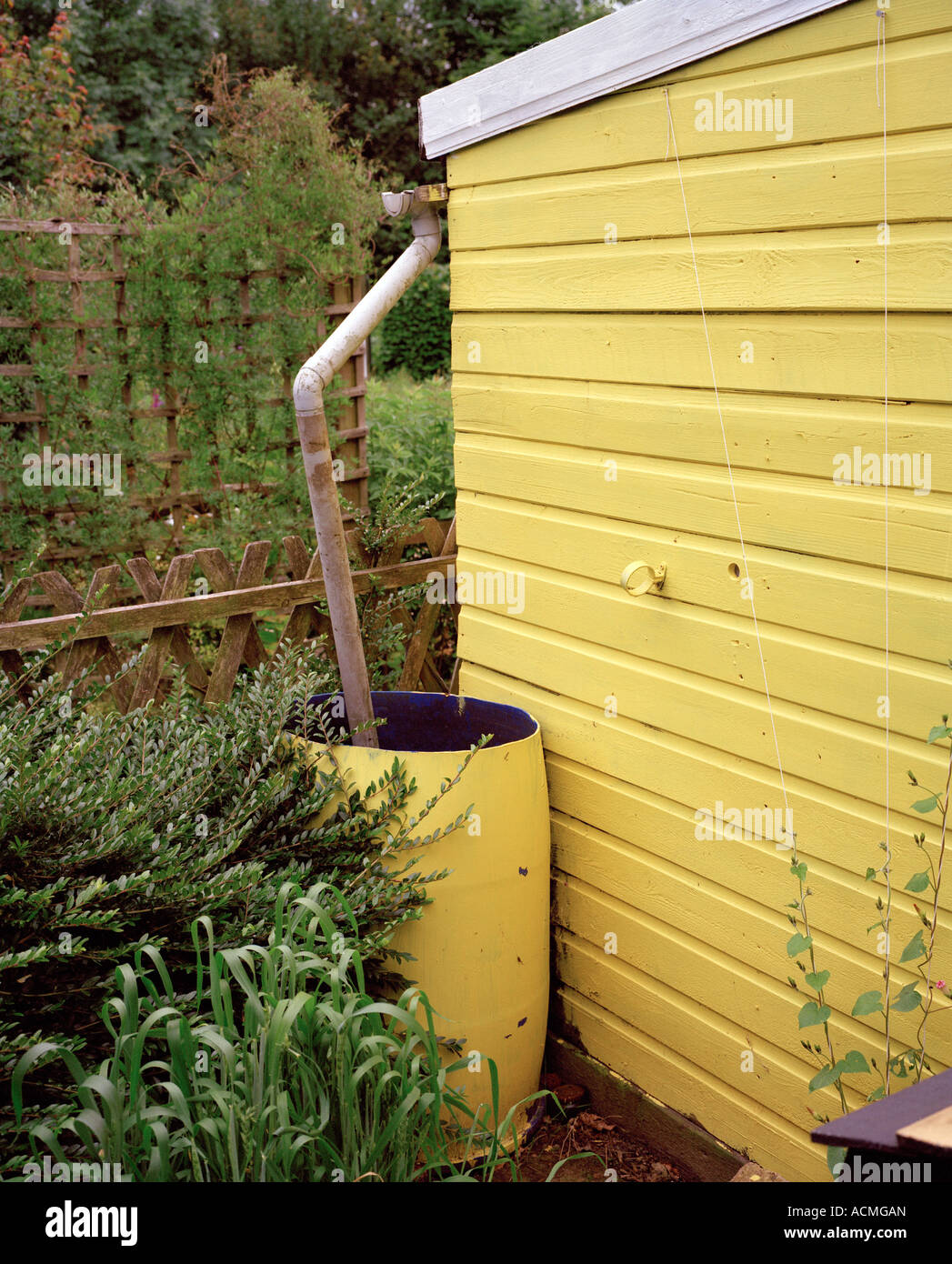 Regentonne, befestigt an einem gelben Gartenhaus Stockfotografie - Alamy