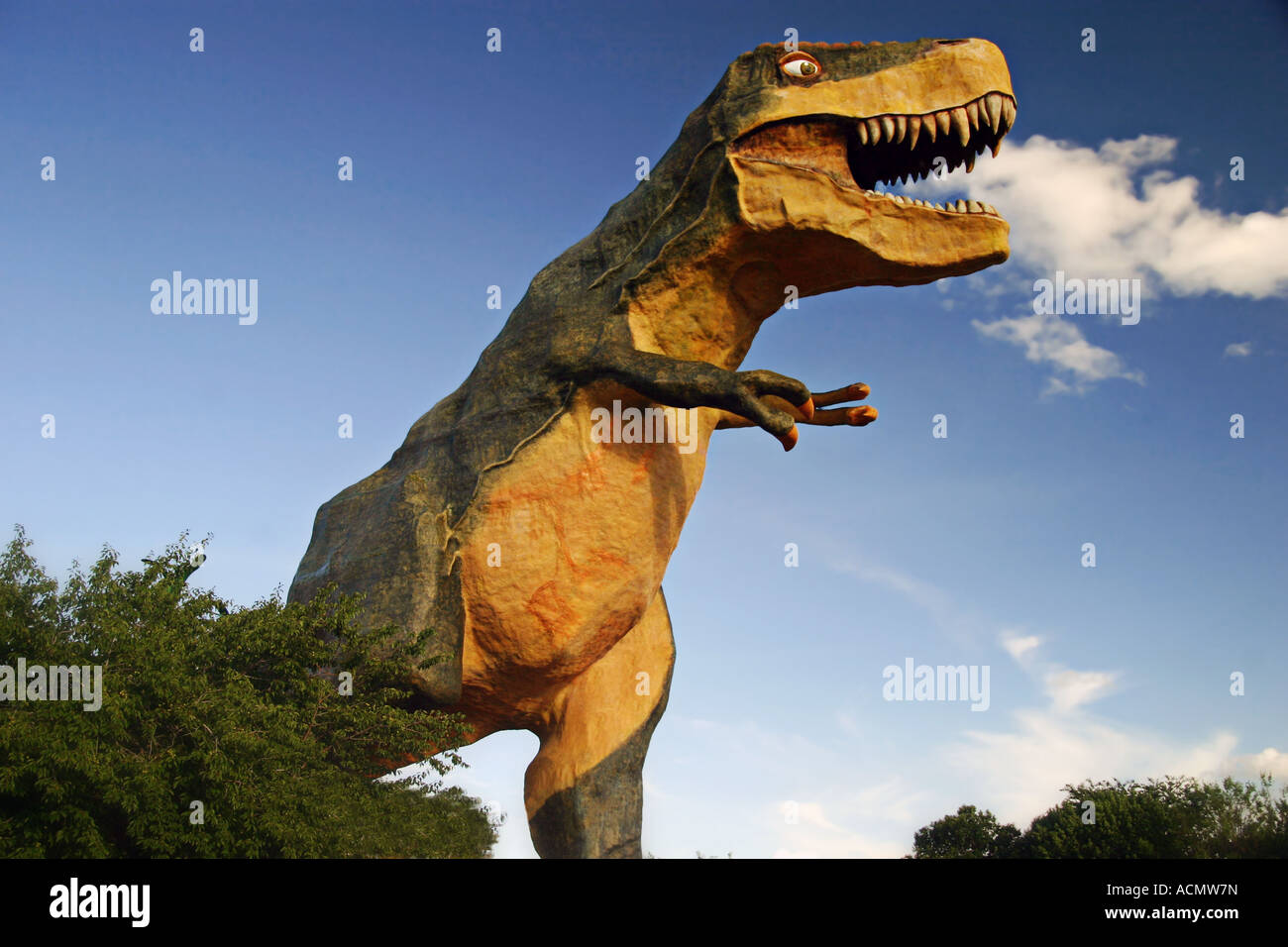 Tyrannosaurus Rex Stockfoto