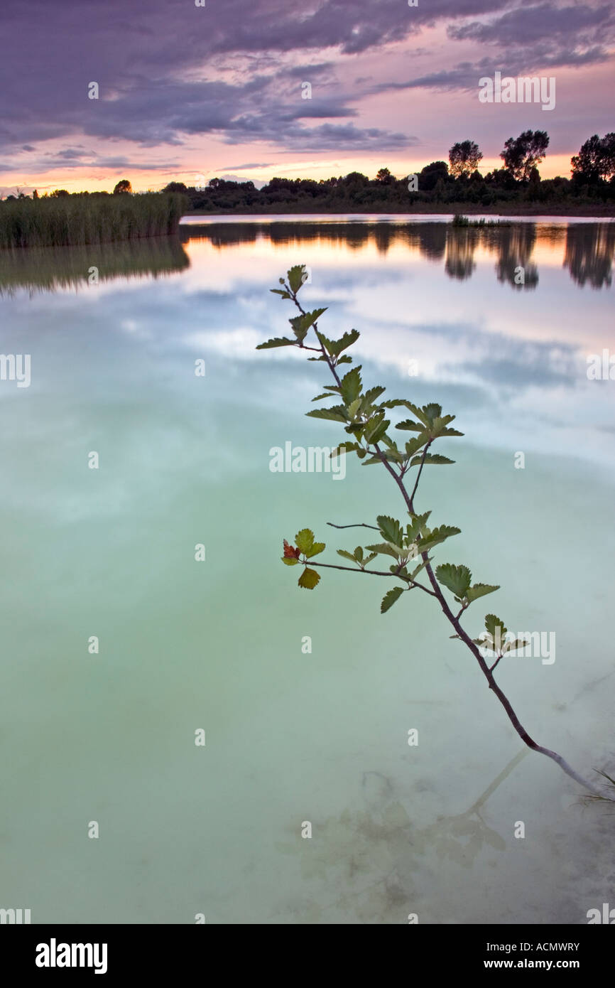 Horizontale Portraite Foto von einem Sonnenuntergang Reflexion an Neumanns blinkt in der Nähe von Northwich Stockfoto