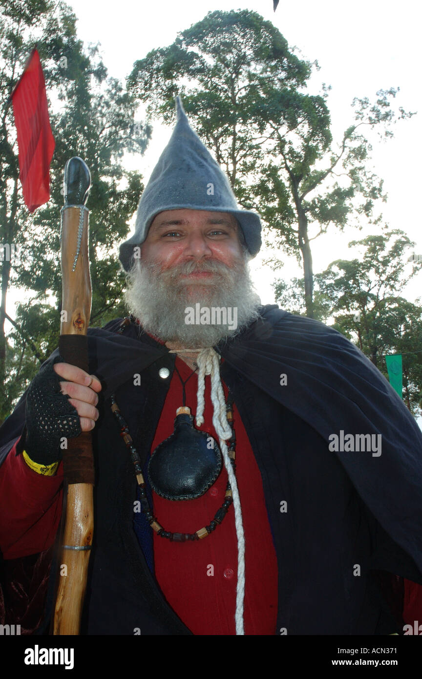 Großer Zauberer mit Personal, grauen Bart und Hut dsc1275 Stockfoto