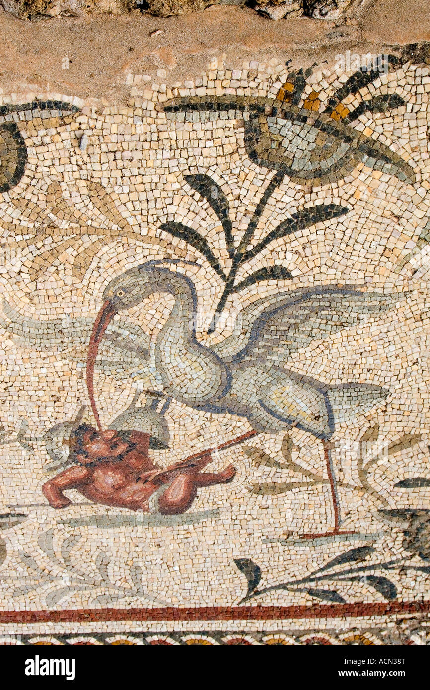 Villa-Sileen in der Nähe von al-Khoms, Libyen. Byzantinische Mosaik, mythischer Vogel Stockfoto