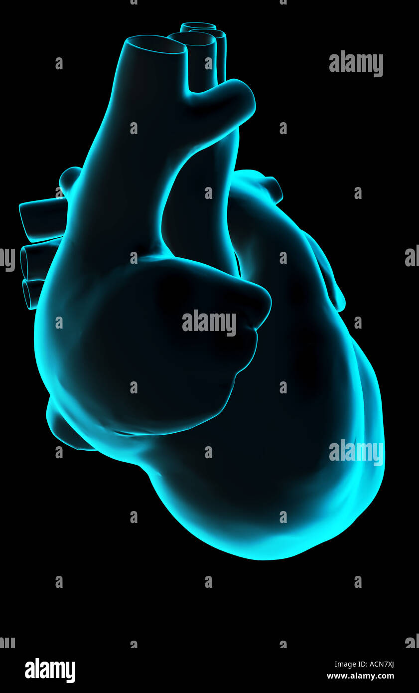 Das Herz Stockfoto