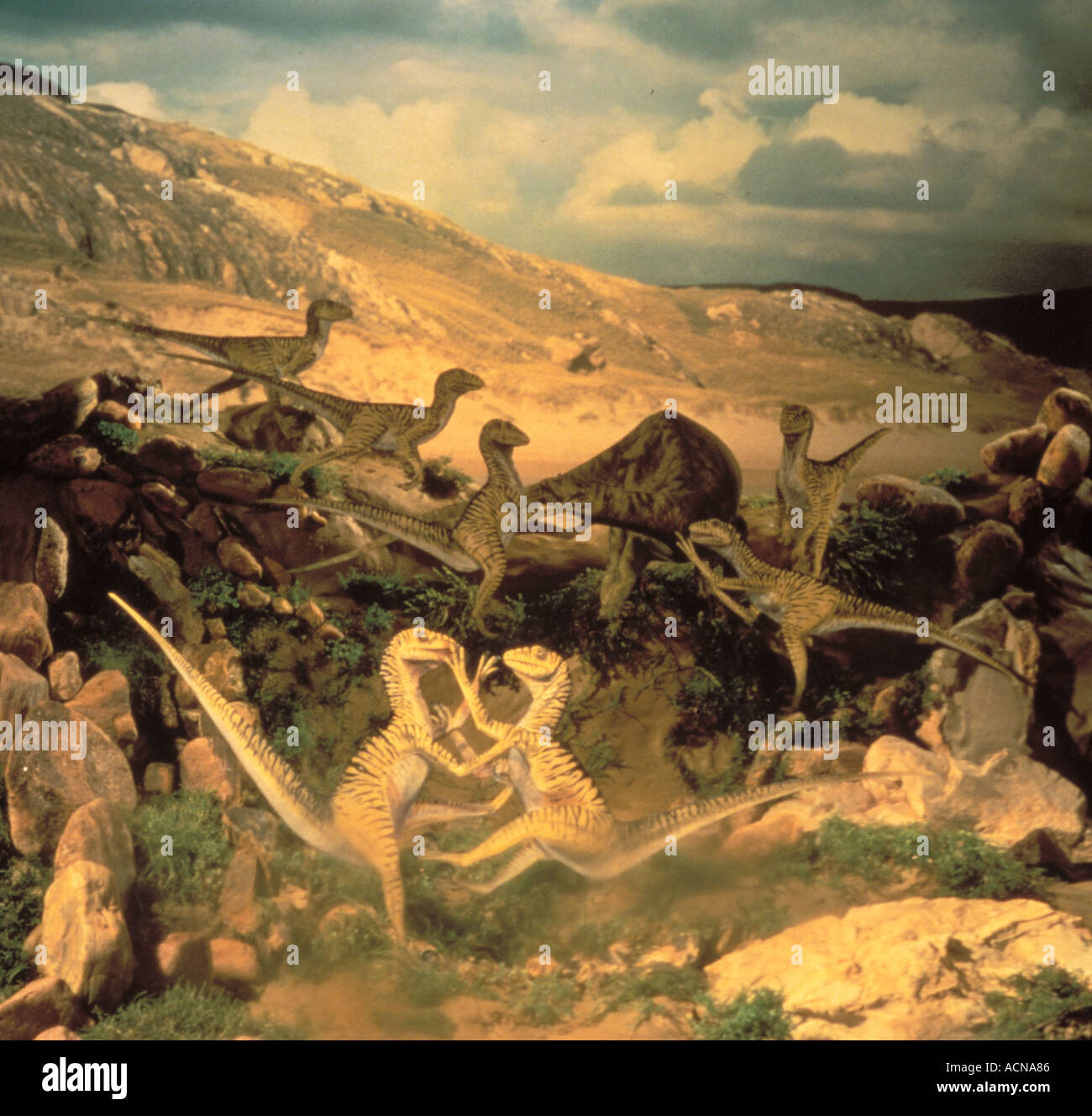 Wissenschaft AUSGESTORBENEN Dinosaurier Stockfoto