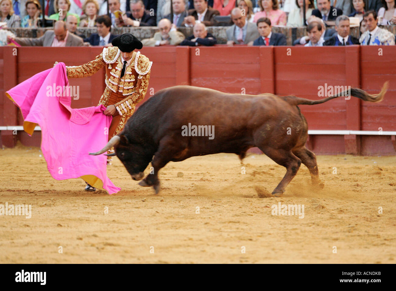 Manuel Jesus El Cid Stierkampf mit Umhang in Real Maestranza Stierkampfarena, Sevilla, Spanien Stockfoto