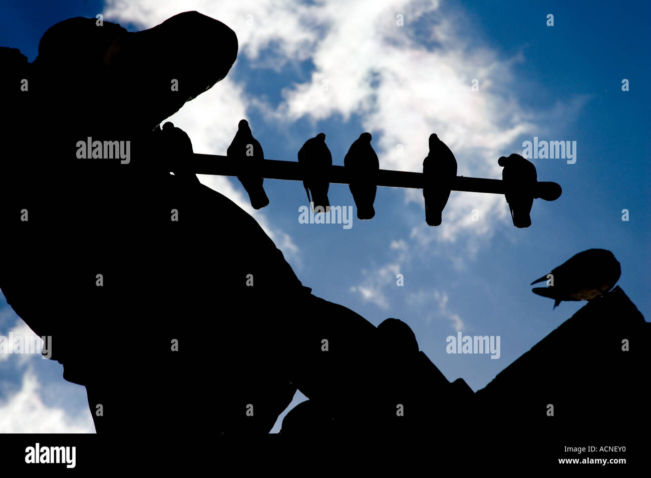 Statue eines militärischer Held und Taube, Sevilla, Spanien Stockfoto