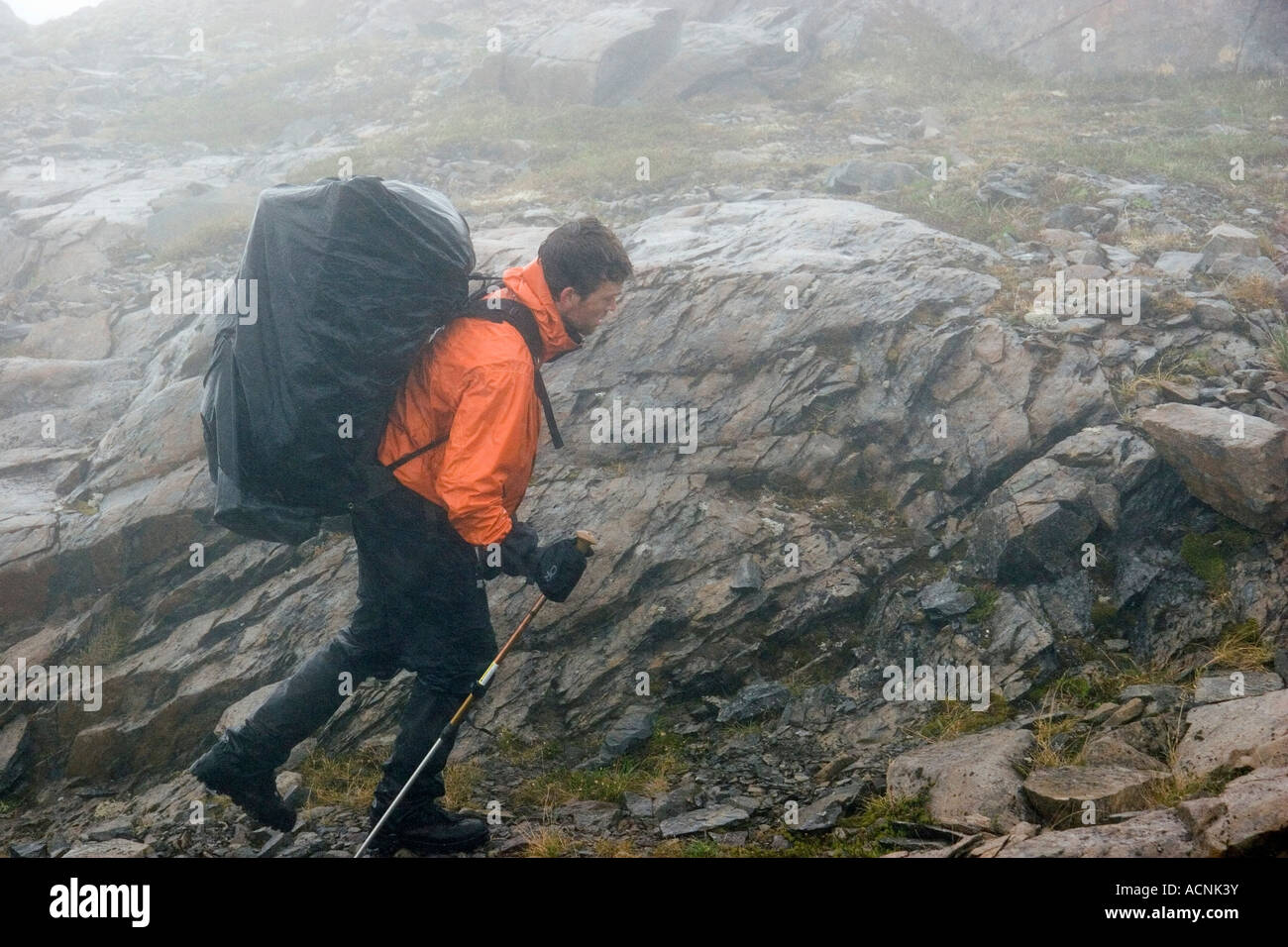 Männliche Backpacker Wanderungen im Regen verloren See Chugach National Forest Kenai-Halbinsel Alaska Sommer Stockfoto