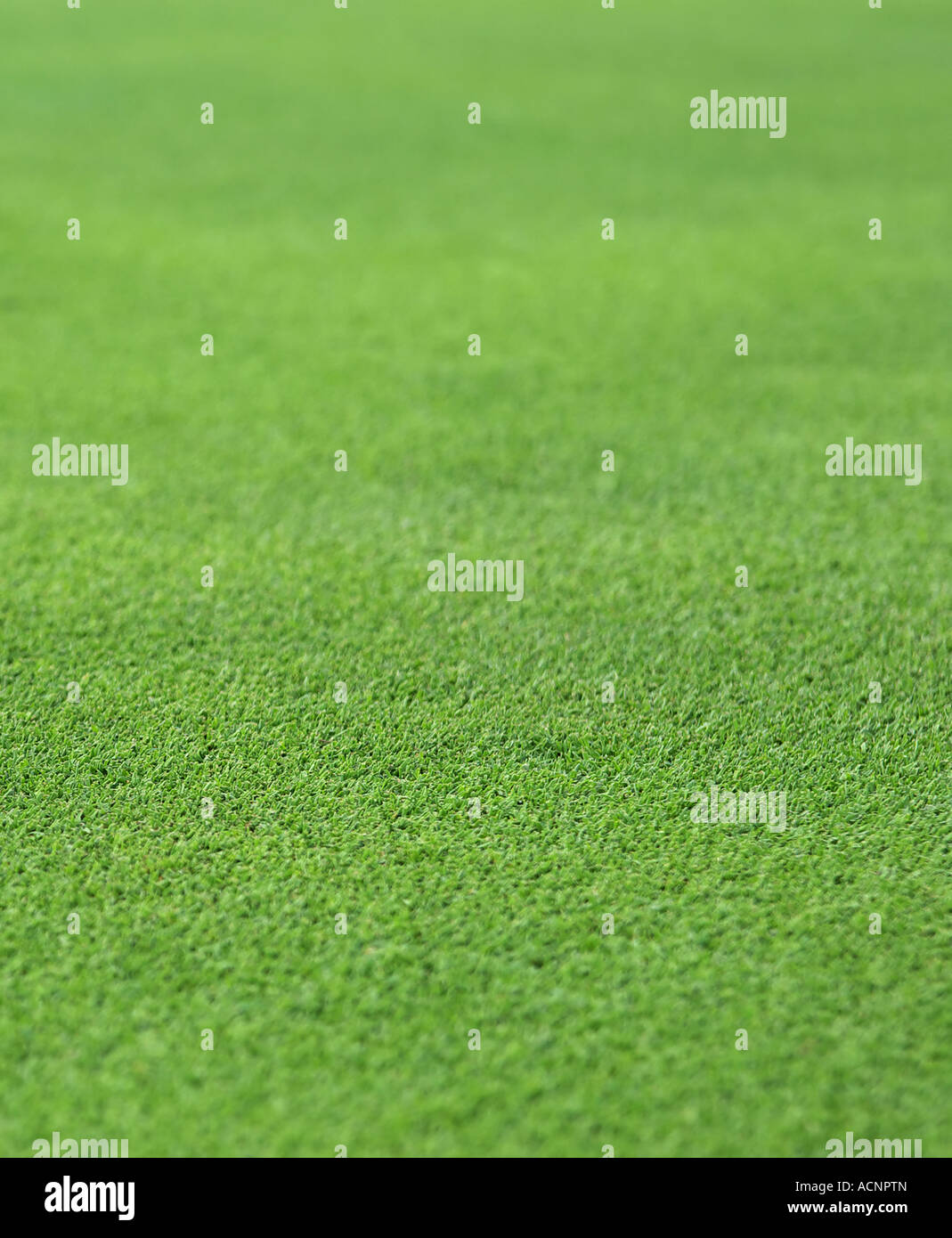 Green Grass Stockfotos und -bilder Kaufen - Alamy