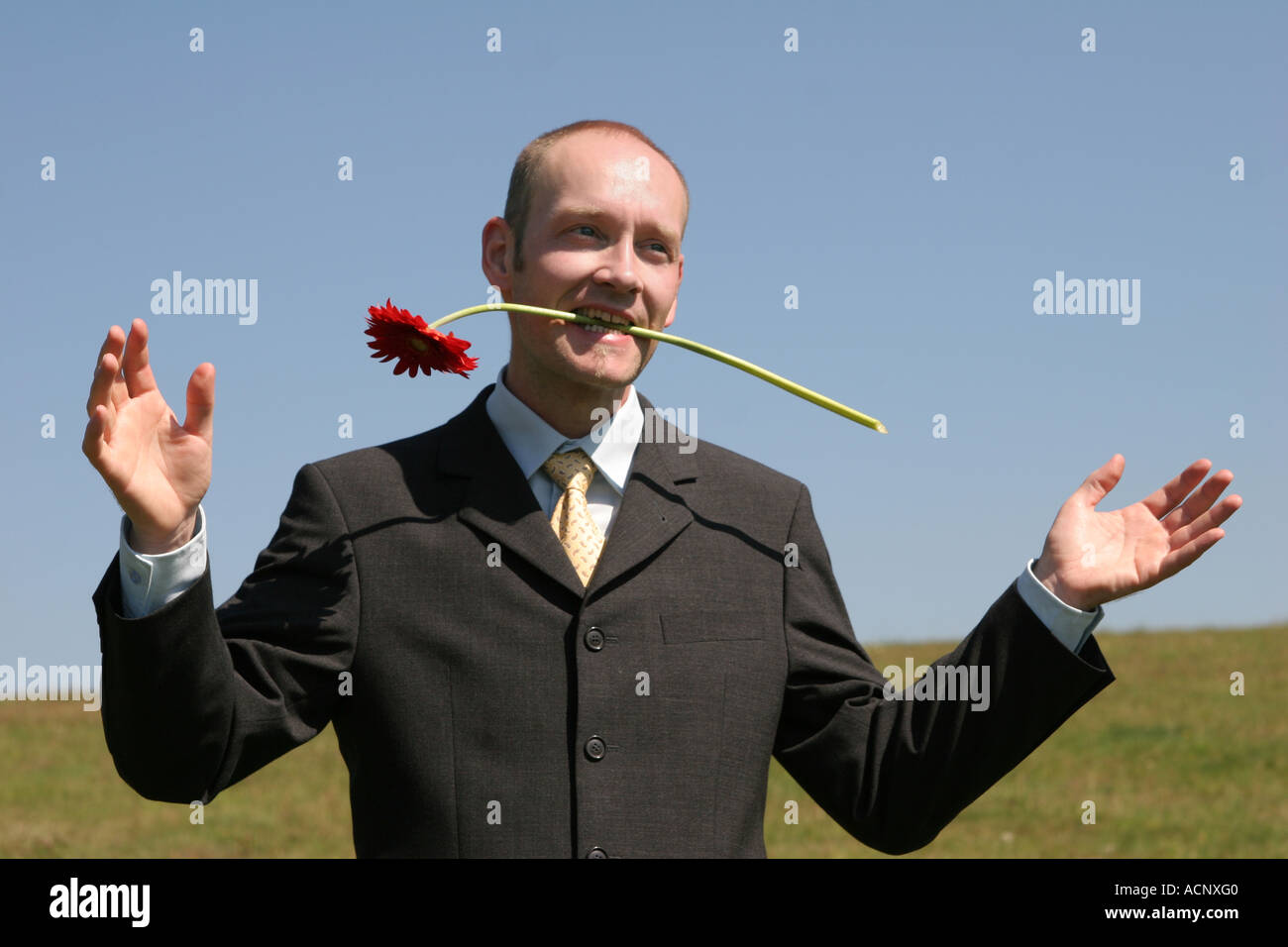 Geschäftsmann mit Blume im Mund - Geschäftsmann Mit Blume Im Mund Stockfoto
