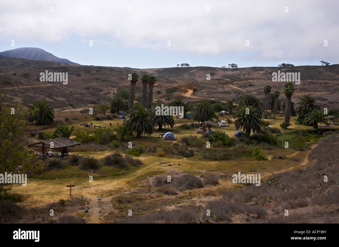 Kleinen Hafen-Campingplatz, Santa Catalina Island, Kalifornien, USA (Juli 2007) Stockfoto