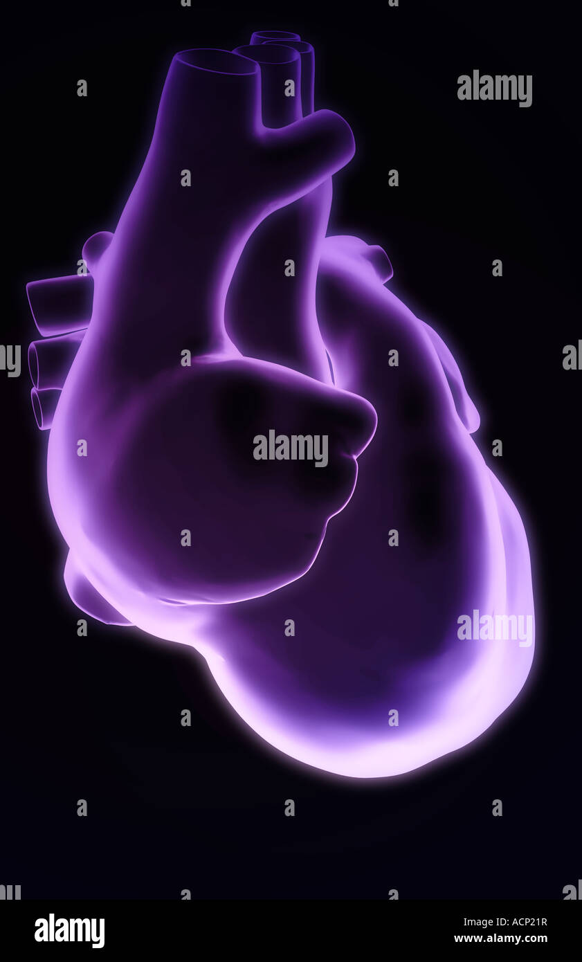Das Herz Stockfoto