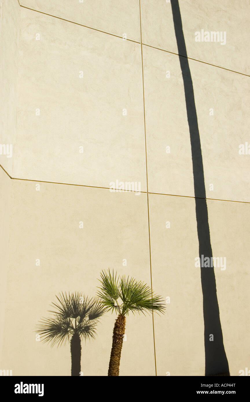 Palme und Schatten an die Wand des Las Vegas Hilton Las Vegas Nevada Stockfoto