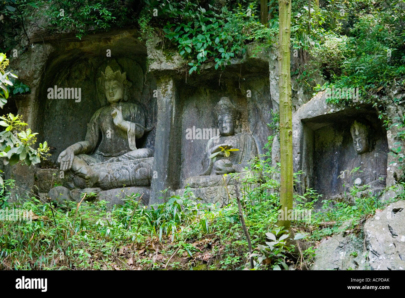 Buddhistische Rock Carvings Feilai Peak Lingyin Tempel Hangzhou China Stockfoto
