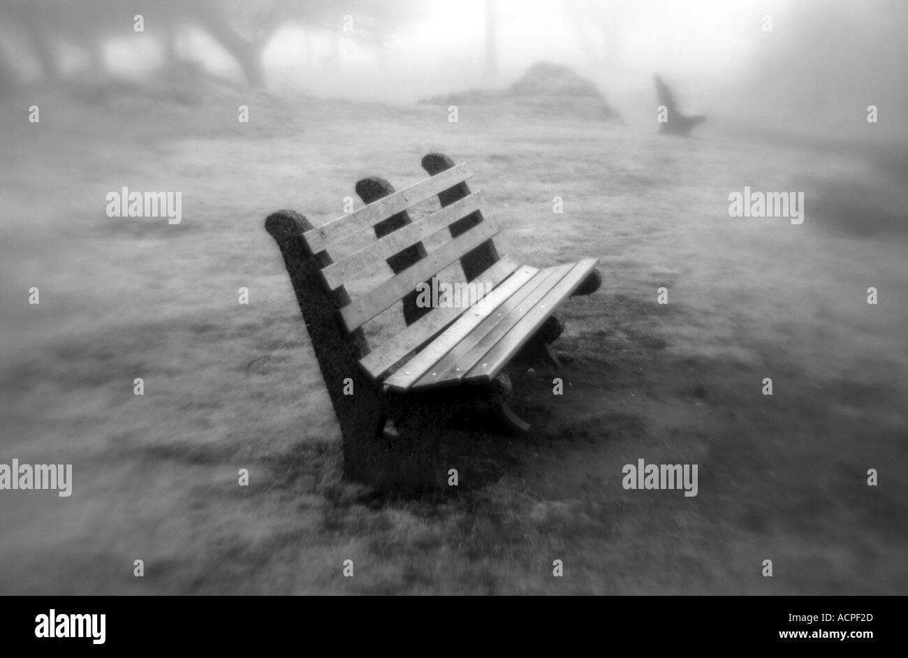 Surreale neblig Park Szene mit Sitzbank Stockfoto