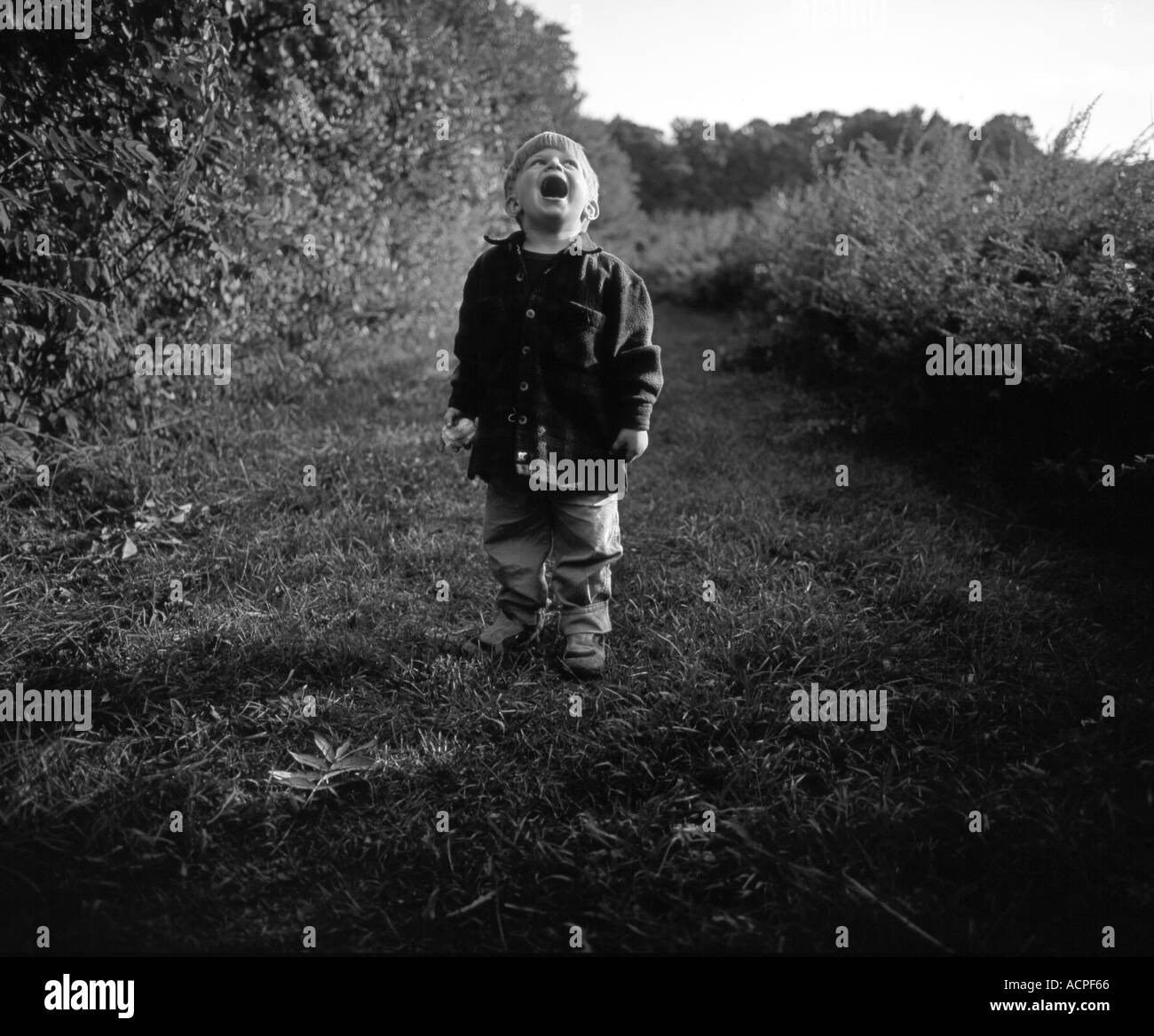 kleiner Junge auf einer Wiese außerhalb netter lustiger Junge in Lachen Stockfoto