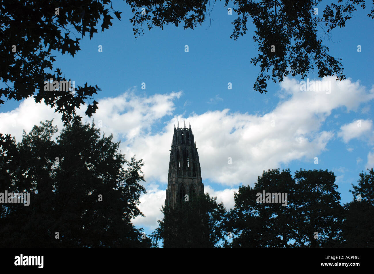 Yale University New Haven Connecticut Stockfoto